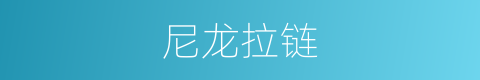尼龙拉链的同义词