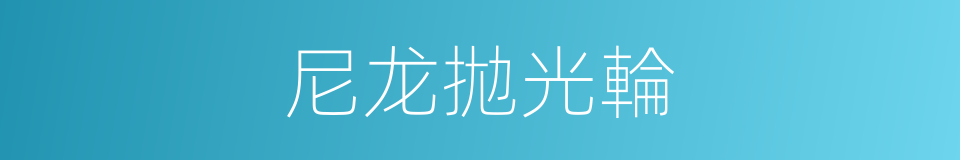 尼龙拋光輪的同義詞