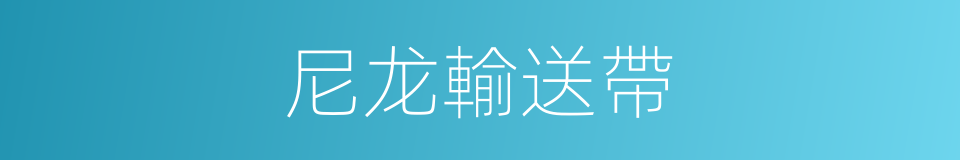 尼龙輸送帶的同義詞