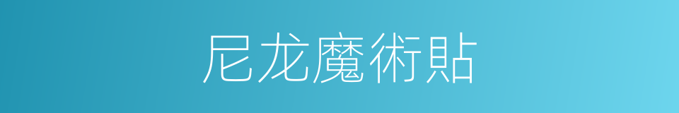 尼龙魔術貼的同義詞