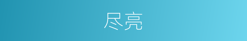 尽亮的同义词