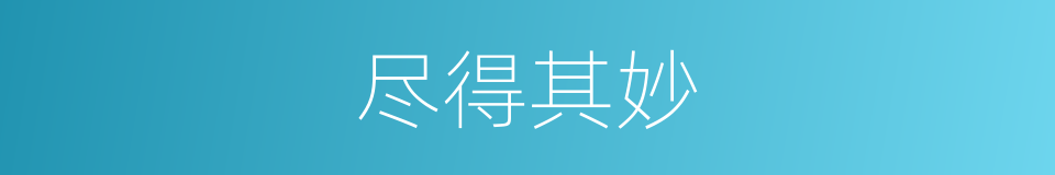 尽得其妙的同义词