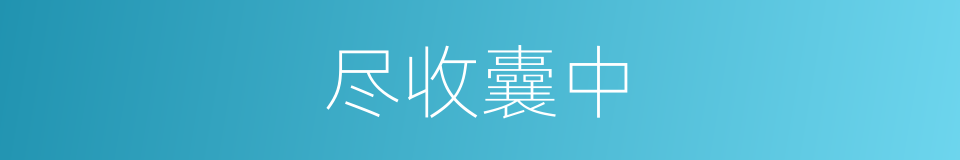 尽收囊中的意思