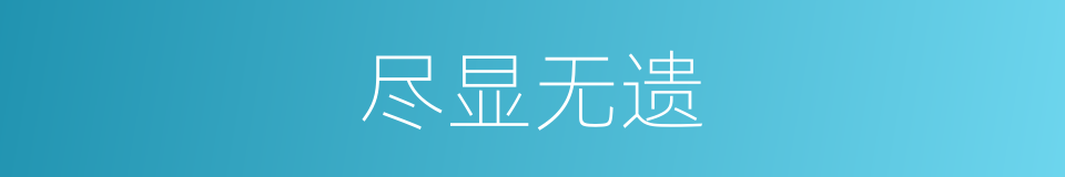 尽显无遗的意思