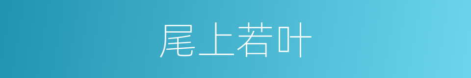 尾上若叶的同义词