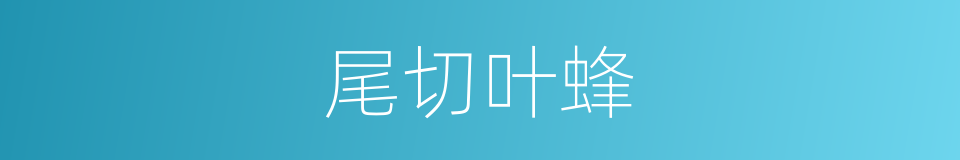 尾切叶蜂的同义词