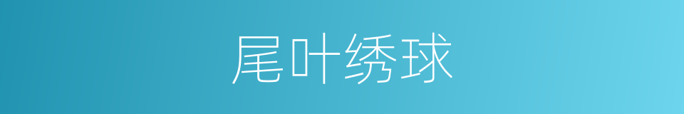 尾叶绣球的同义词