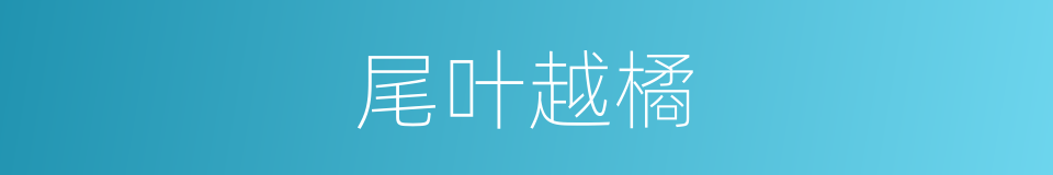 尾叶越橘的同义词