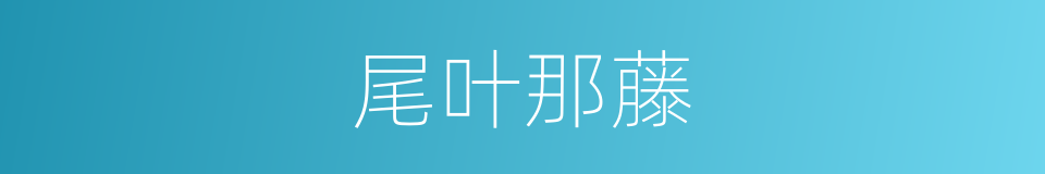 尾叶那藤的同义词
