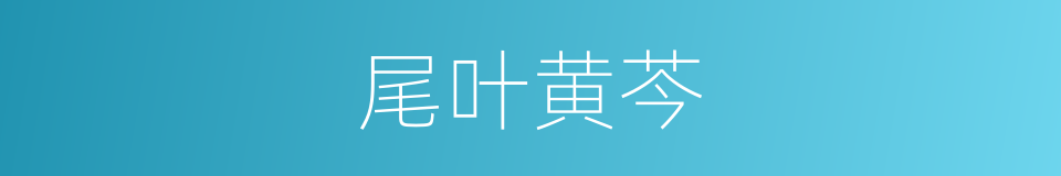 尾叶黄芩的同义词