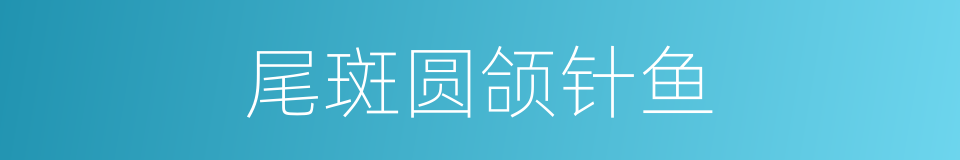 尾斑圆颌针鱼的同义词