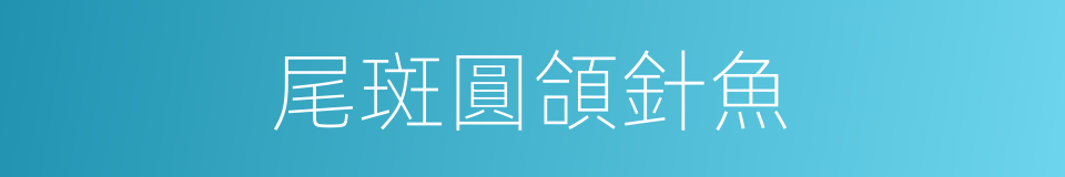 尾斑圓頜針魚的同義詞