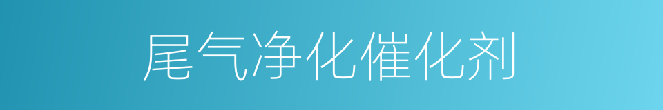 尾气净化催化剂的同义词