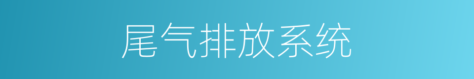 尾气排放系统的同义词