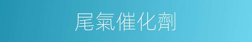 尾氣催化劑的同義詞