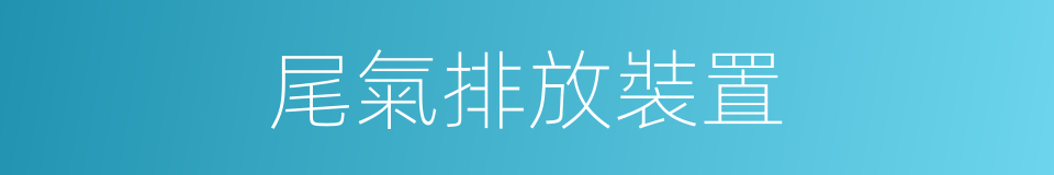 尾氣排放裝置的同義詞
