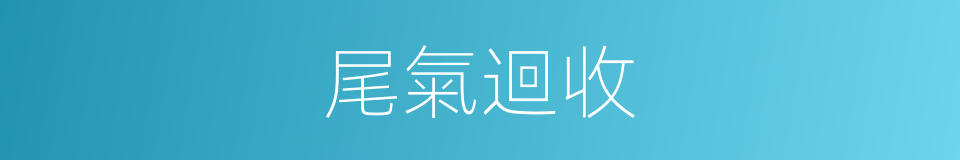 尾氣迴收的同義詞