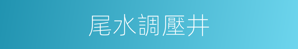 尾水調壓井的同義詞