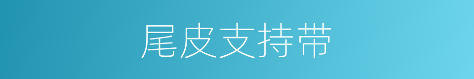 尾皮支持带的同义词