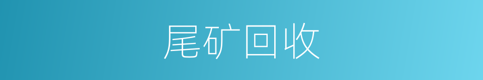 尾矿回收的同义词