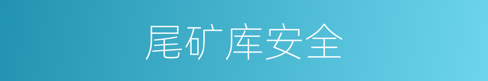 尾矿库安全的同义词