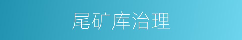 尾矿库治理的同义词