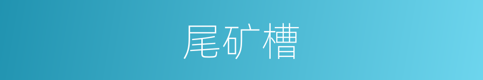尾矿槽的同义词