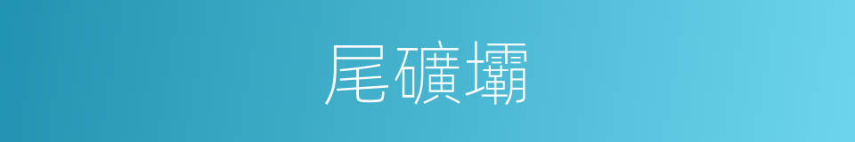 尾礦壩的同義詞