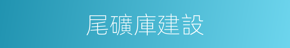 尾礦庫建設的同義詞