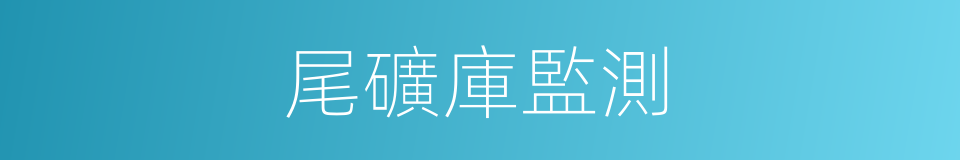 尾礦庫監測的同義詞