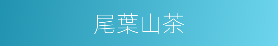 尾葉山茶的同義詞