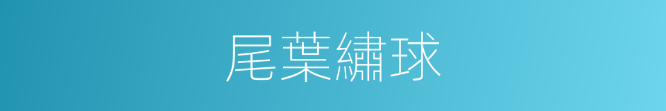 尾葉繡球的同義詞