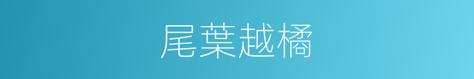尾葉越橘的同義詞