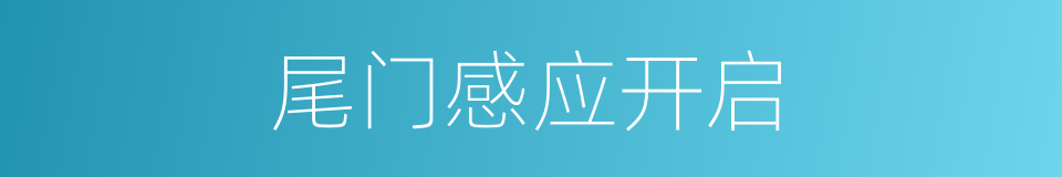 尾门感应开启的同义词