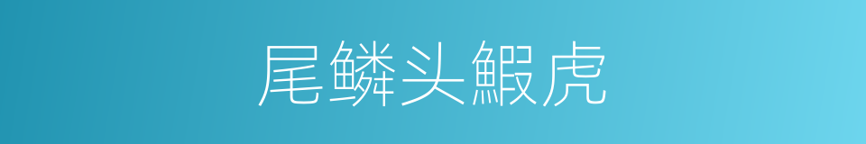 尾鳞头鰕虎的同义词