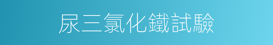 尿三氯化鐵試驗的同義詞