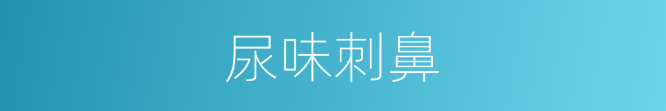 尿味刺鼻的同义词