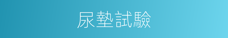 尿墊試驗的同義詞