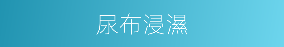 尿布浸濕的同義詞
