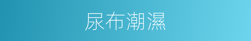 尿布潮濕的同義詞