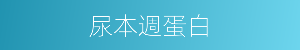 尿本週蛋白的同義詞