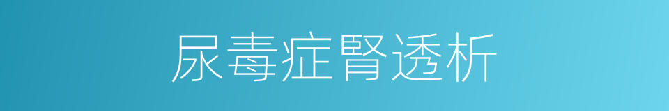 尿毒症腎透析的同義詞