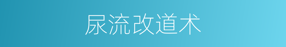 尿流改道术的同义词