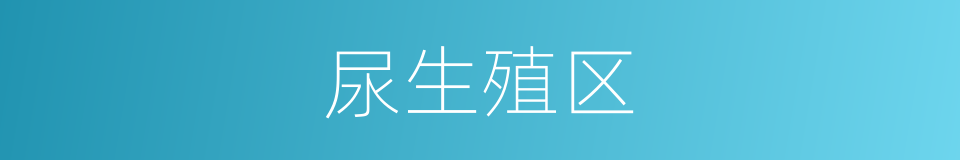 尿生殖区的同义词