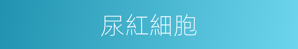 尿紅細胞的意思