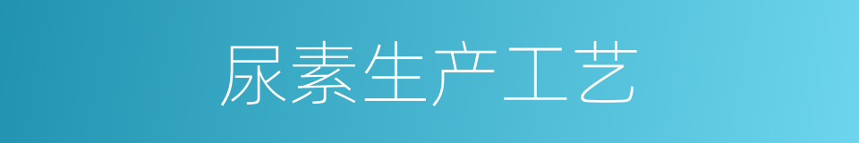 尿素生产工艺的同义词
