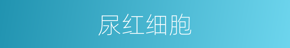 尿红细胞的意思