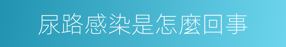 尿路感染是怎麼回事的同義詞