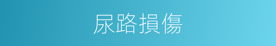 尿路損傷的同義詞