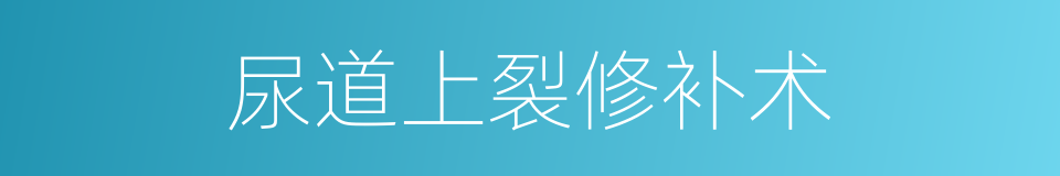 尿道上裂修补术的同义词